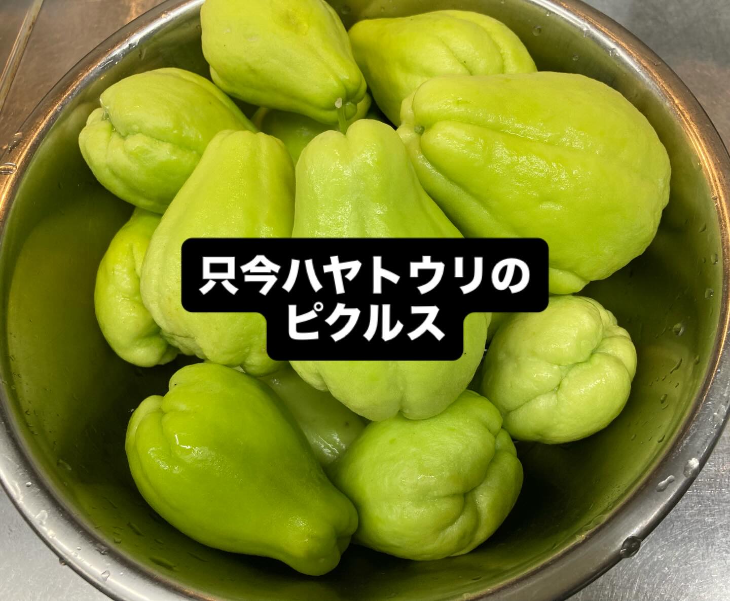 只今提供中のピクルスは
横浜産ハヤトウリです！

美味しい😋
初めて食べたーと
大好評😄

ラン